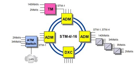 SDH Network Topologies