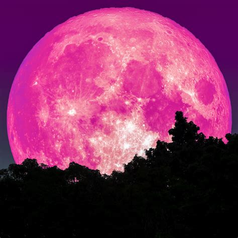 Super Pink Moon Coming In April - Here’s How To See It