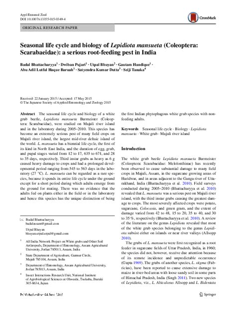 (PDF) Seasonal life cycle and biology of Lepidiota mansueta (Coleoptera: Scarabaeidae): a ...