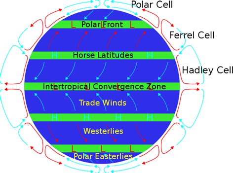 planetary science - Does Venus have doldrums or horse latitudes (latitudes with lower winds ...