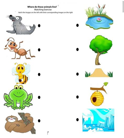 Printable Animal Habitats Worksheets