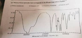 Answered: QI/ Which of these molecules best… | bartleby