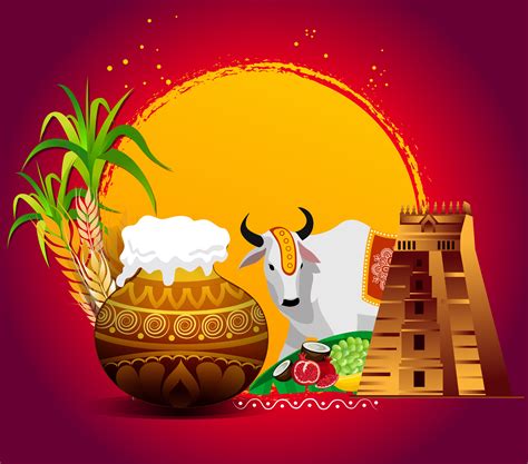 Pongal Celebration with Vaer Organic - Vaer Organic