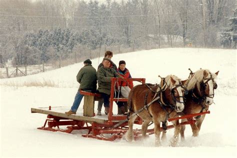 Belgian Horses Connie & Tara Pulling My Bob Sleigh