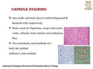 Biotechnology:Staining Techniques | PPT