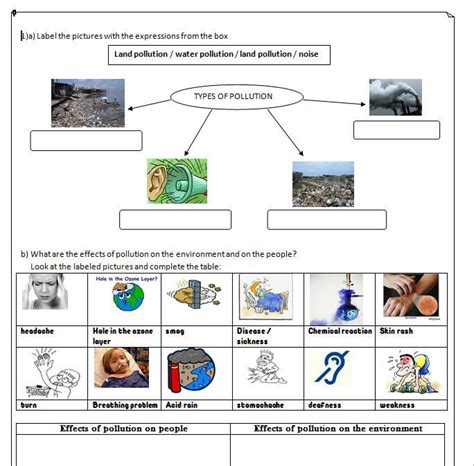 Pollution Worksheet | Pollution activities worksheets, Pollution activities, Social studies ...