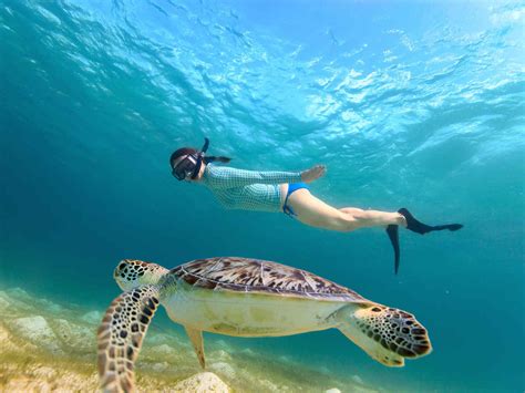 Molokini Snorkeling In Maui