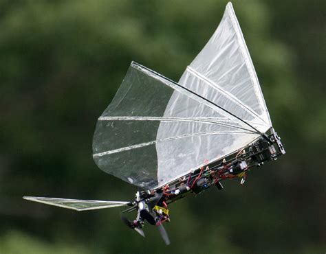 Engineering a Robotic Bird Like No Other - ASME