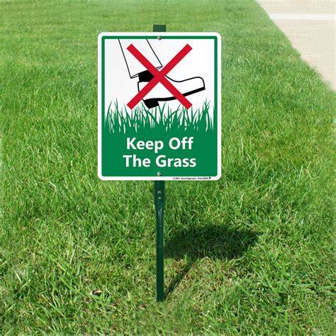 The Grass : The Grass Is Greener Right Here Amazon Com Br - Anthonie ...