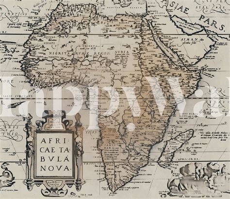 Vintage Africa Map Wallpaper - Antique Style | Happywall