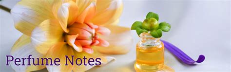 Perfume Notes - Complete List - Fragrance, Scents, Fixatives, Accords ...