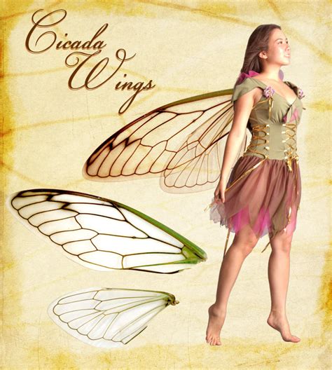 Cicada Wings stock by chronicdoodler on DeviantArt