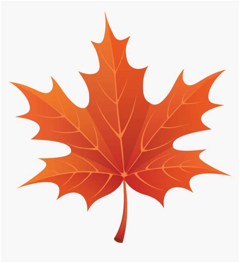 Autumn Leaves Png Images Free Png Yellow Leaves - Cartoon Fall Leaf Png ...