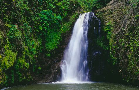 Grand Etang National Park travel | Grenada Island, Grenada - Lonely Planet