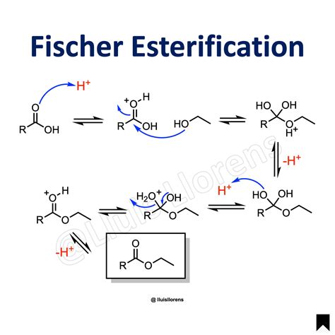 Fischer Esterification Mechanism Carboxylic Acid