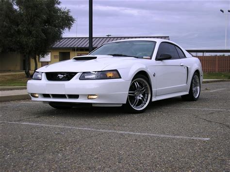 2004 Mustang Parts & Accessories | AmericanMuscle.com - Free Shipping!