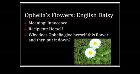 Lilly Hoftijzer: Ophelia's Flowers Columbia Mo : Welcome To Ophelia S ...