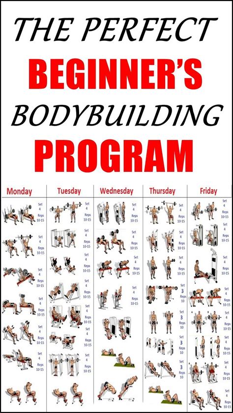 THE PERFECT BEGINNER’S BODYBUILDING PROGRAM | Workout plan for beginners, Bodybuilding program ...