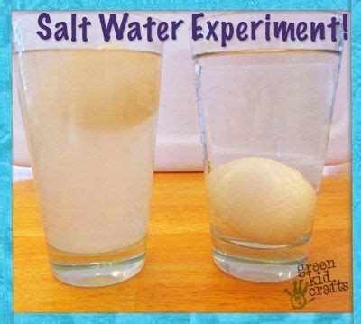 Salt Water Experiment - Green Kid Crafts