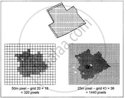 Discuss raster and vector data formats. Give example. - Geography ...