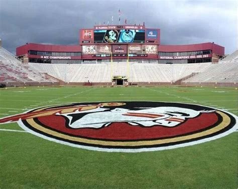 Stadium | Florida state football, Fsu, Florida state university