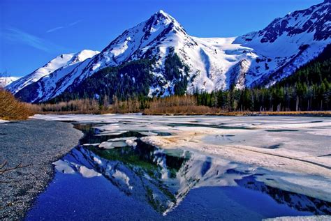 25 Pros and Cons of Living In Alaska - Retirepedia