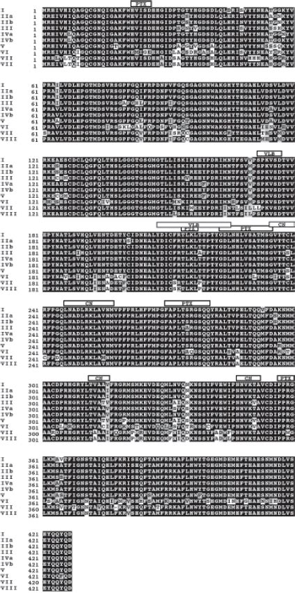 Sequence alignment of β tubulin isoforms. Each of the ten Human... | Download Scientific Diagram