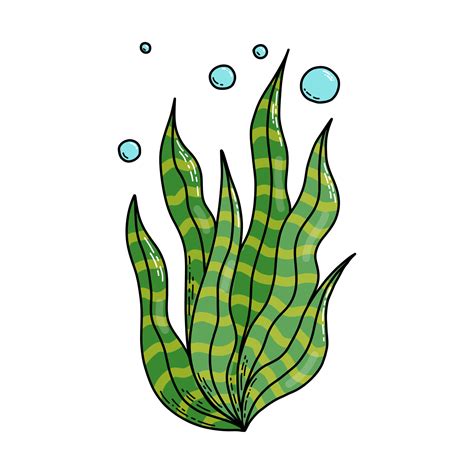 Cute doodle cartoon sea algae. Vector illustration. 7793814 Vector Art at Vecteezy