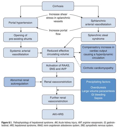 Pathophysiology Of Hepatorenal Syndrome