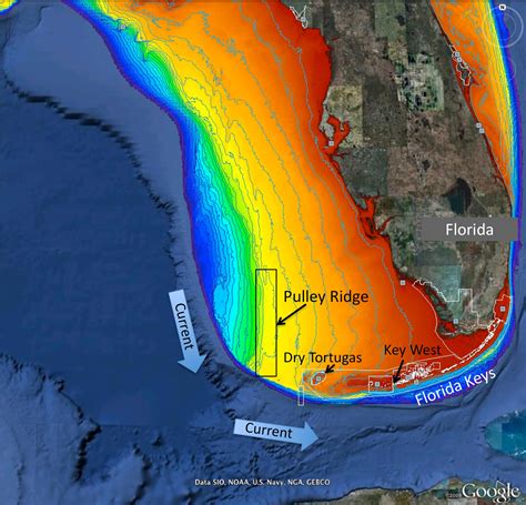 Scientists Explore Remote, Healthy Reef In Gulf Similar To Florida Keys Reef | WLRN