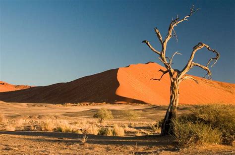 Top 10 Amazing Desert Landscapes in the World | Best Desert Destination