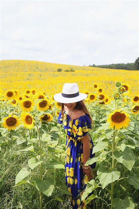 Field Trip |Sunflower Days | I Spy DIY | Bloglovin’