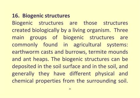 Soil microorganisms | PPT