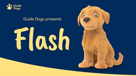 GUIDE DOGS | FLASH ANIMATION - YouTube