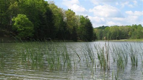 The Best Time to Plant Grass in Ohio — Revealed!