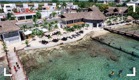 Stingray Beach Cozumel - Snorkeling with Stingrays