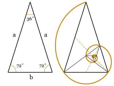 Golden Ratio Calculator – Old Masters Academy