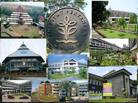 Institut Pertanian Bogor ( IPB )