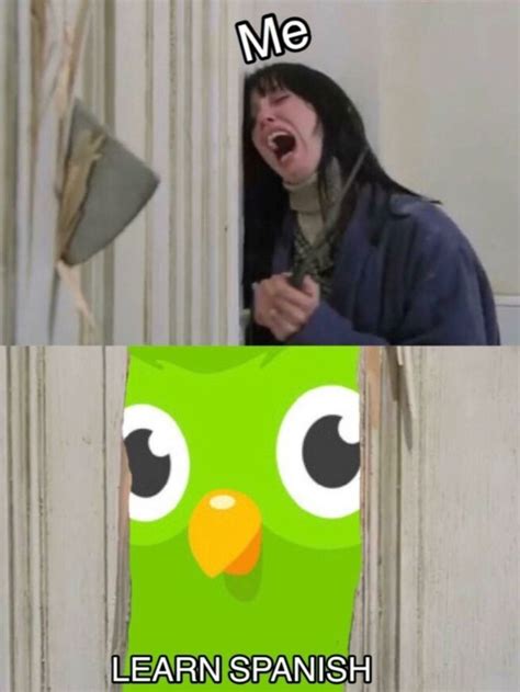 Hilarious Duolingo Memes