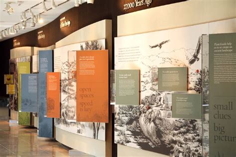 15 best Museum Display Ideas images on Pinterest | Museum displays, Display ideas and Exhibit design