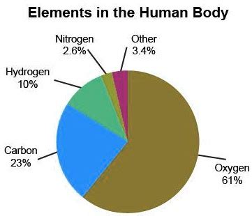 SOLVED: 'The chart shows the percentage of different elements in the human body. Which element ...