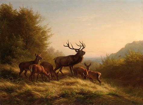 Deer in landscape Painting by Johannes Deiker - Pixels