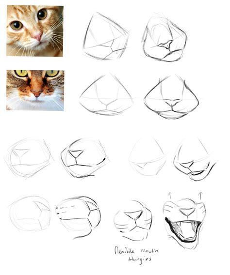 Hissing Cat Drawing