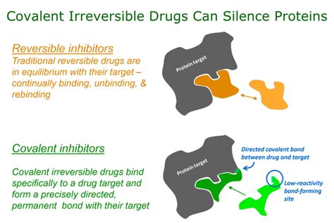 Difference Between Reversible and Irreversible Inhibition | Compare the Difference Between ...