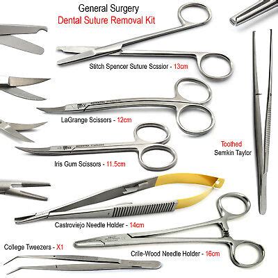 Tissue Surgical Scissors Suture TC Needle Holders Small Animal Surgery ...