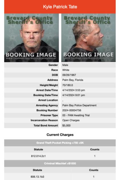 Recent Jail Mugshots in Brevard County Florida – Brevard County Arrests