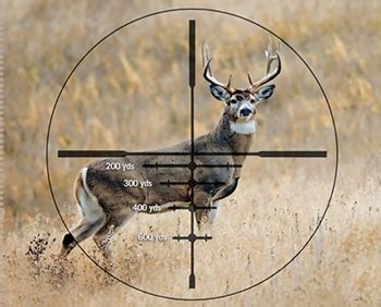 Best Rifle Scopes for Deer Hunting – 2019 Top Picks - Big Game Logic