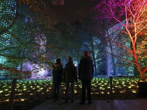 In Pictures: Spectacular Christmas light show at Kew Gardens | Express ...