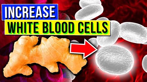 5 SUPERFOODS To Increase White Blood Cells Count & Boost Immunity | Recipe Learn