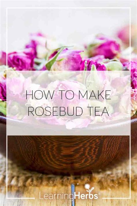 How to Make Rosebud Tea and Delight Your Heart – LearningHerbs